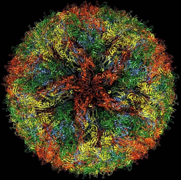 Нобелевская премия по химии – 2017: новый взгляд на биомолекулы