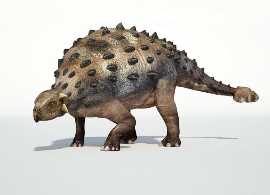 Почему некоторых динозавров находят кверху брюхом