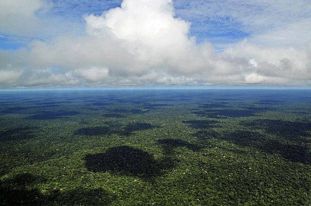 Амазонские леса вызывают собственные дожди