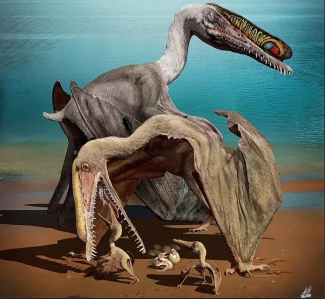 Птерозавры могли заботиться от своих «птенцах»
