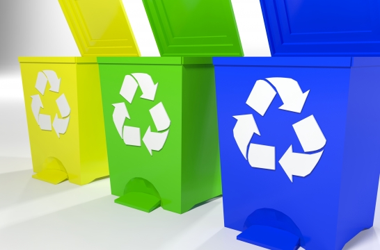 В подмосковных школах будут проводить уроки по раздельному сбору мусора