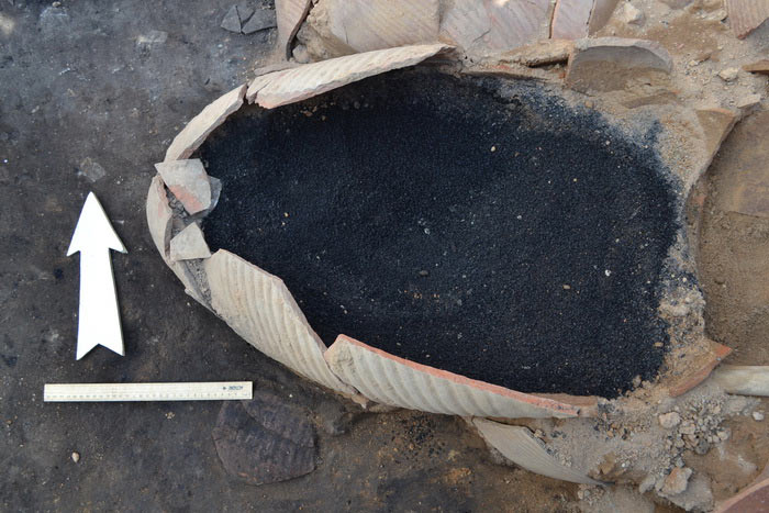 Раскопки в Танаисе: мраморное ядро и «победный» стакан