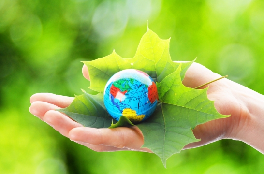 Для школьников Москвы 1 сентября пройдет экологический урок 