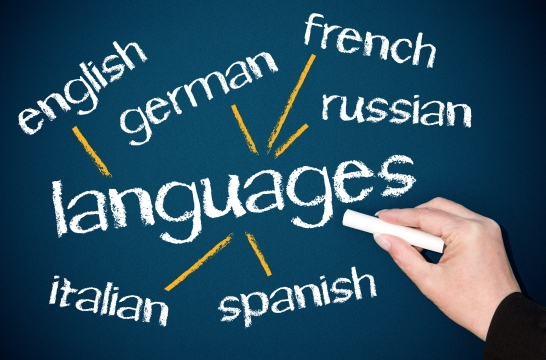 Подход к преподаванию иностранного языка в школе надо менять – Васильева 